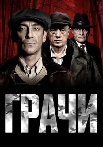 Грачи